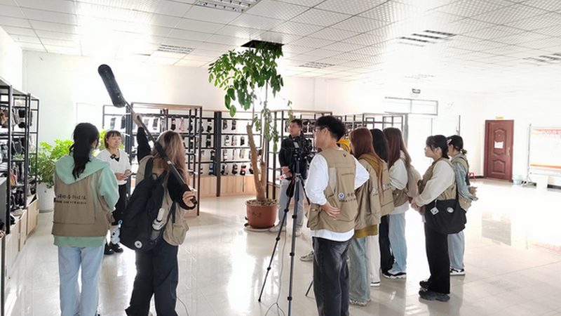 展览活动策划服务材质分类解析